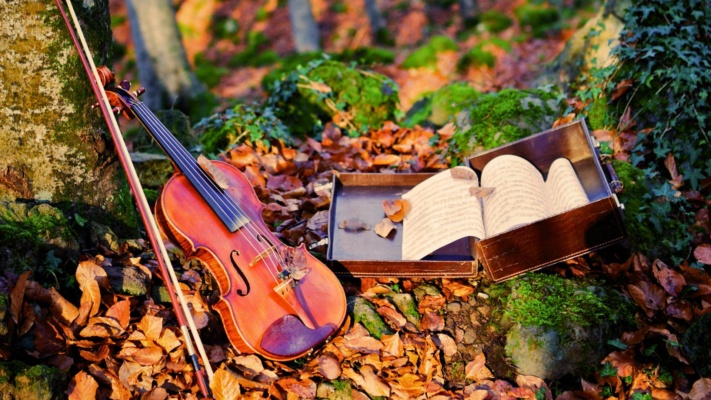 A violin with a bow leans against a tree among fallen leaves. Next to it, an open sheet music book is inside a small case.