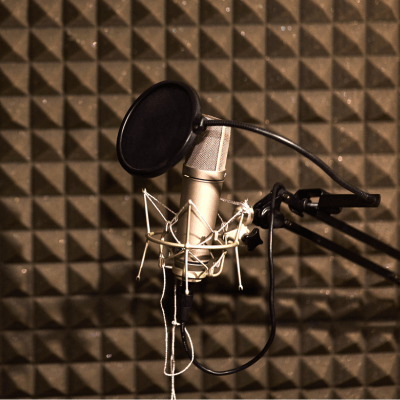 A condenser microphone with a pop filter is mounted on a stand in front of a wall lined with acoustic foam panels.