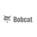 Bobcat