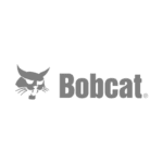 Bobcat Bobcat